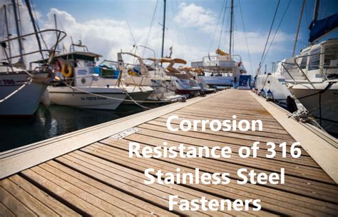 The Corrosion Resistance of 316 Stainless Steel Fasteners: A Comprehen ...