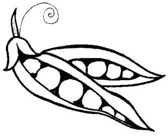 Pea Pod Drawing | Free download on ClipArtMag