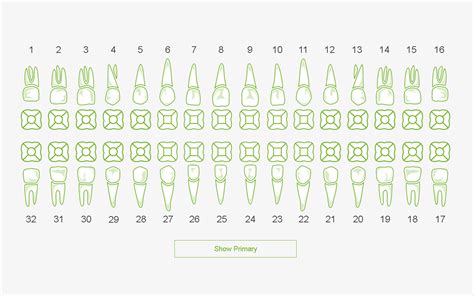 Dental Chart:Amazon.it:Appstore for Android