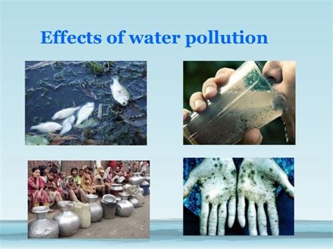 effects of water pollution