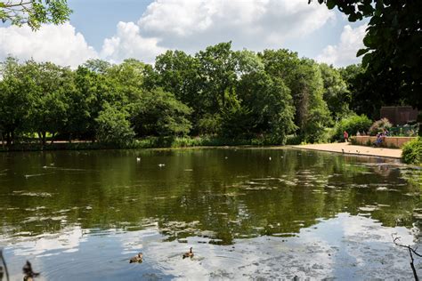 Highams Park Lake/ Epping Forest - Stow Brothers