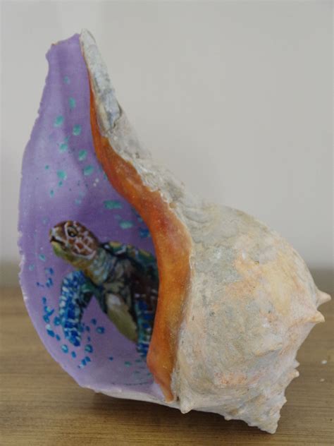 Conch Shell - Acrylic painted sea turtle | Shell crafts, Shell crafts ...