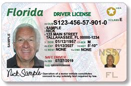 Florida Drivers License Requirements Renewal - qafasr