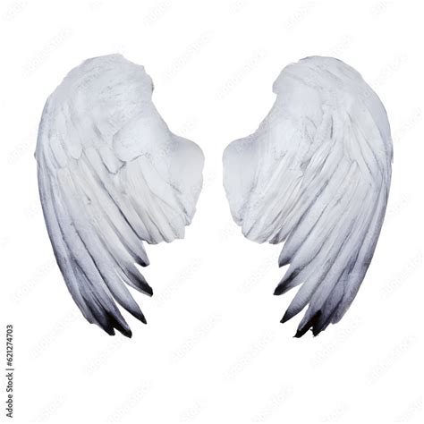 White angel wings. Generative AI Stock Photo | Adobe Stock