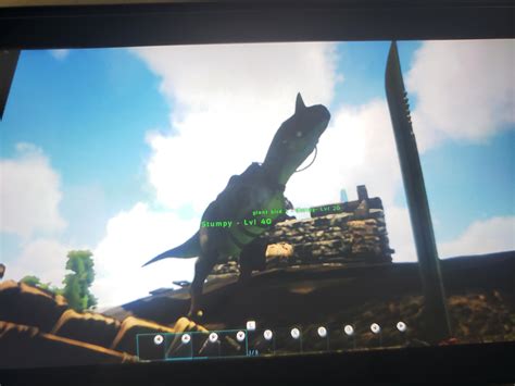 I tamed my first carno today. 88% taming effectiveness gave 11 levels to this once level 26 ...