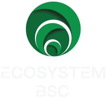 Senza categoria Archivi – Ecosystem BSC