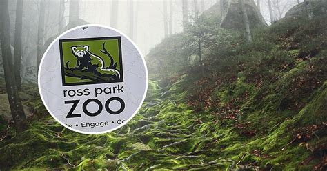 A Magical Forest Coming To Ross Park Zoo in Binghamton