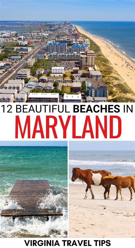 12 Beautiful Beaches in Maryland | Maryland beaches, Ocean city ...