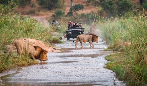 6 Best Safari Destinations in Africa with Hotels - HotelsCombined 6 Best Safari Destinations in ...