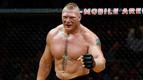 Brock Lesnar UFC Wallpapers - Top Free Brock Lesnar UFC Backgrounds ...