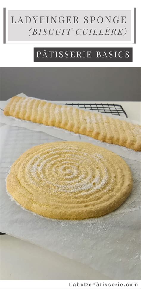 Ladyfinger Sponge (Biscuit Cuillère) | Recipe | Low carb recipes ...