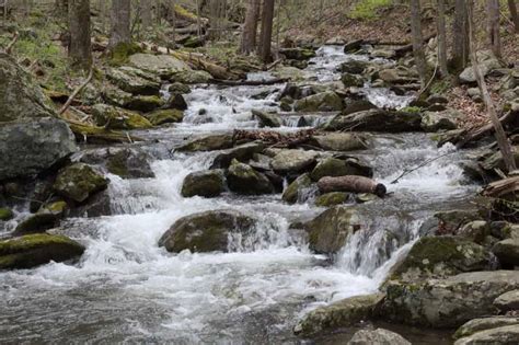 Shenandoah National Park Waterfalls | The Complete Guide - TMBtent