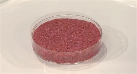 The Environmental Impact of Cultured Meat Production - HubPages