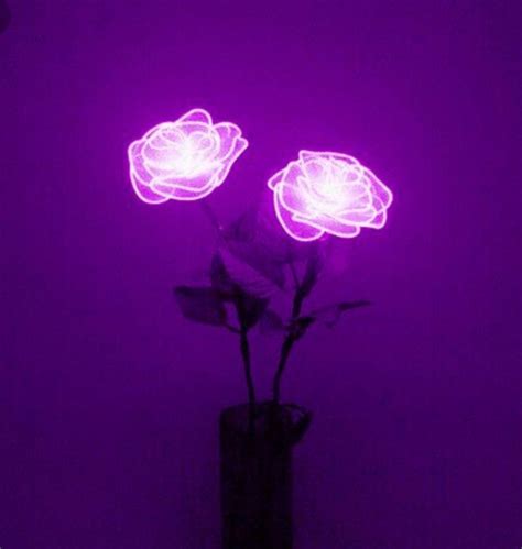 Neon Violet Wallpapers - Wallpaper Cave