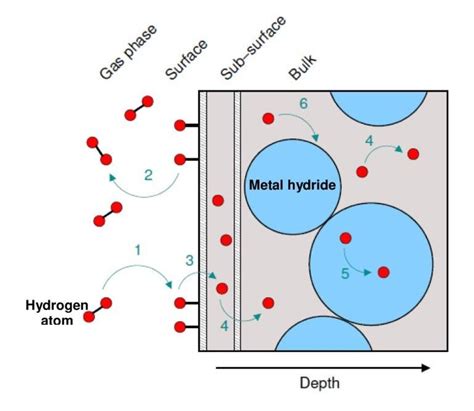 Schematic illustration of the different mechanisms involved in the ...