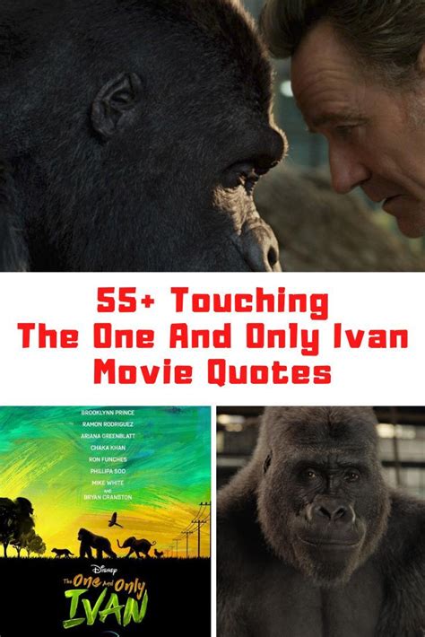 55+ Touching Disney+'s The One And Only Ivan Movie Quotes | One and only ivan, Disney plus ...