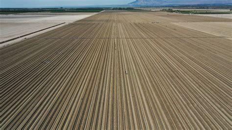 In Pics | California faces its worst drought since 1977, water crisis ...