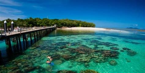 Green Island Resort Diving & Boat Snorkelling Trips - 2018 All You Need ...