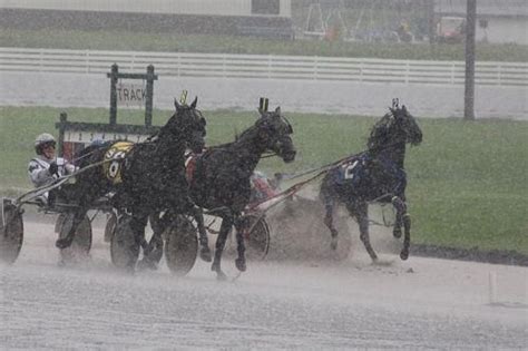 Monticello Raceway | Horses, Monticello, Animals