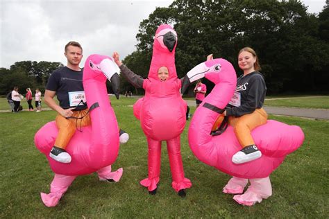 Race For Life 2023 on Southampton Common in pictures | Daily Echo