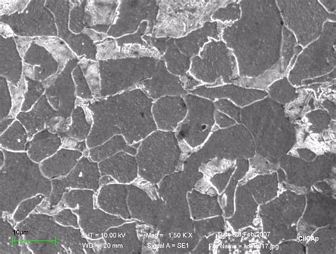 Optical images of the microstructure of carbon steel. | Download ...