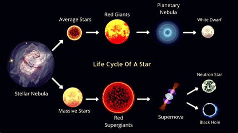 Large Star Life Cycle