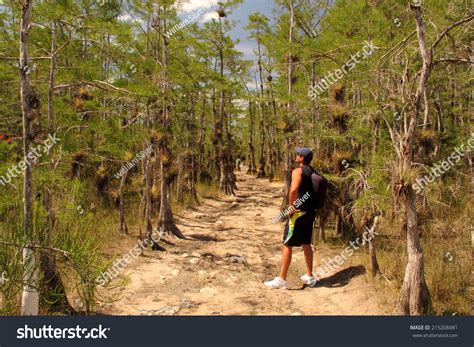 Big Cypress National Preserve: Over 1,018 Royalty-Free Licensable Stock Photos | Shutterstock