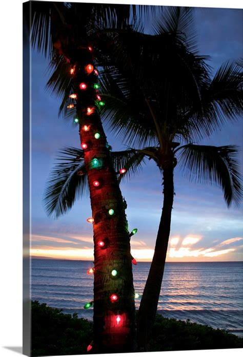 Christmas lights on palm tree Wall Art, Canvas Prints, Framed Prints ...