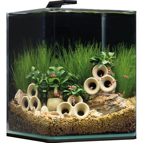 Dennerle Nano Cube 10l Aquarium - Shrimp Tank - Pro Shrimp UK