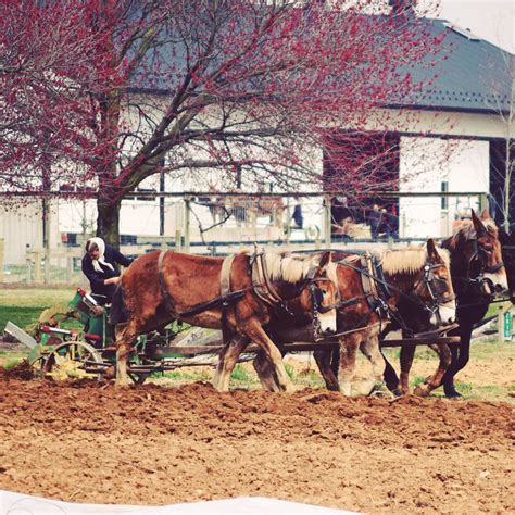 Learning to speak like the Amish - The Amish Farm and House