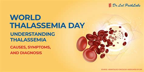 Thalassemia: Causes, Symptoms & Diagnosis - Dr Lal PathLabs Blog