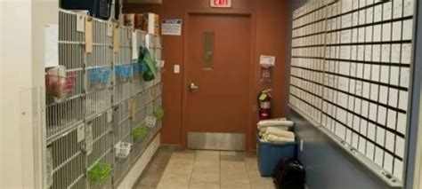 In-Patient Services | Princeton Animal Hospital & Carnegie Cat Clinic