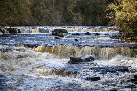 Aysgarth Falls walk - West Burton Falls walk - Yorkshire Dales walks