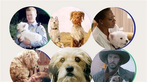 An Ode to 2018’s Film and TV Dogs, Who Were All Very Good | Vanity Fair