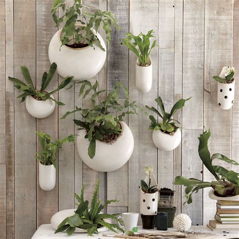 Objects of Design - Ceramic Wall Planters