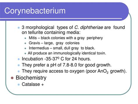 PPT - Corynebacterium PowerPoint Presentation, free download - ID:201783