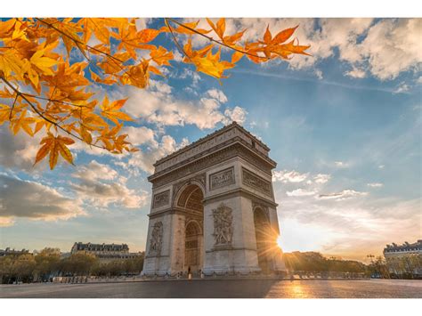 Paris' Champs-Élysées to turn into a stunning urban garden | Times of ...