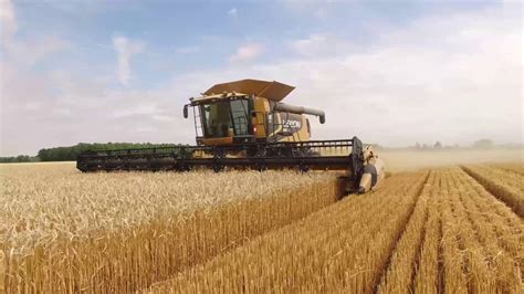 2016 Wheat Harvest - YouTube