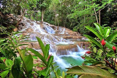 Dunn River Falls Jamaica - Tourist Attraction - XciteFun.net