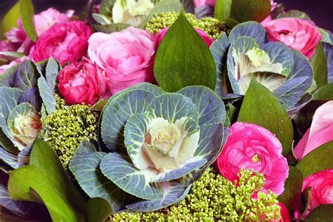 9 Great Varieties of Ornamental Cabbage (Flowering Kale)