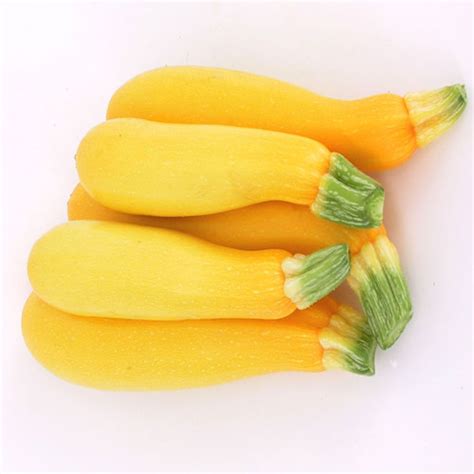 Nutrition Guide & Health Properties | Summer Squash | Veggies Info