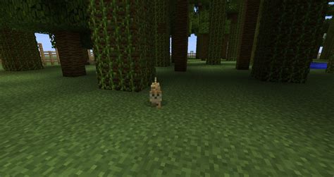 Ocelot Habitat Minecraft Map