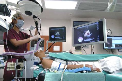 Endobronchial Ultrasound (EBUS) Biopsy of Mediastinal Lymph Nodes | CTSNet