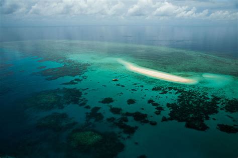 Ocean Safari - Destination Daintree