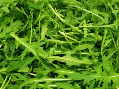 Rocket vs Arugula - The Ultimate Guide!