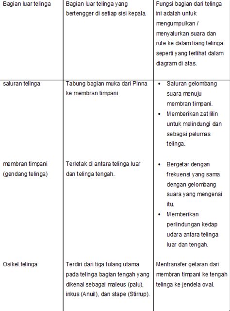 BAGIAN TELINGA, FUNGSI DAN GANGGUANNYA | Materi Pelajaran SMP Terbaru