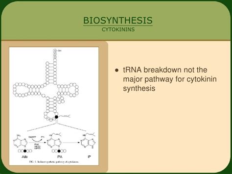 Cytokinins