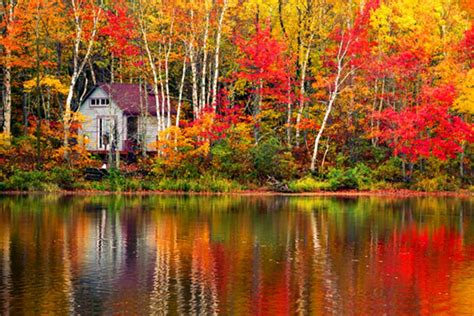 Every autumn something magical happens in Vermont - Cambrian Rise in ...