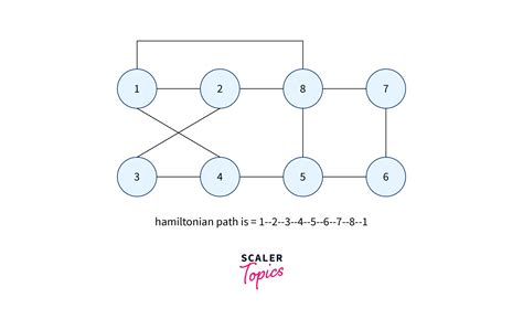 Hamiltonian Cycle - Scaler Blog