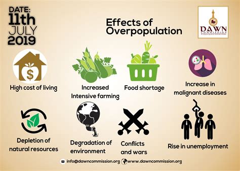 Effects Of Overpopulation